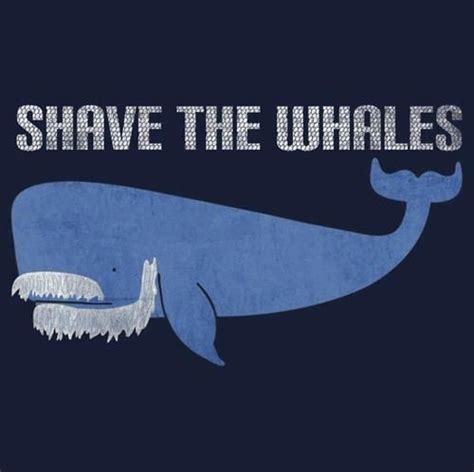 17 Best images about Whale Humor on Pinterest | Beluga whale, Dolphins and Funny penguin