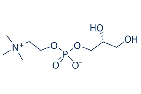 Choline Glycerophosphate | 98%(HPLC) | In Stock | Others chemical