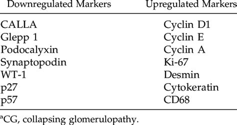 Representative immunohistochemical markers of the dysregulated podocyte ...