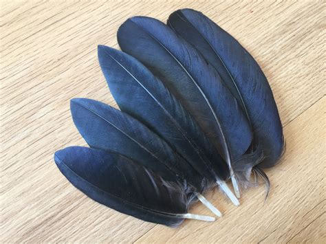 A feather from a raven symbolizes "creation" & knowledge - the Bringer ...