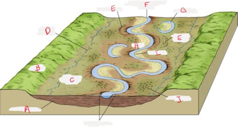 Sedimentology Midterm 2 Diagrams Flashcards | Quizlet