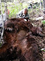 Ask A Wildlife Biologist:, Alaska Department of Fish and Game