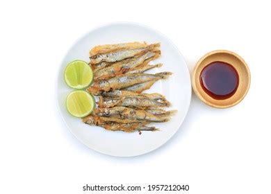 Shishamo Images, Stock Photos & Vectors | Shutterstock