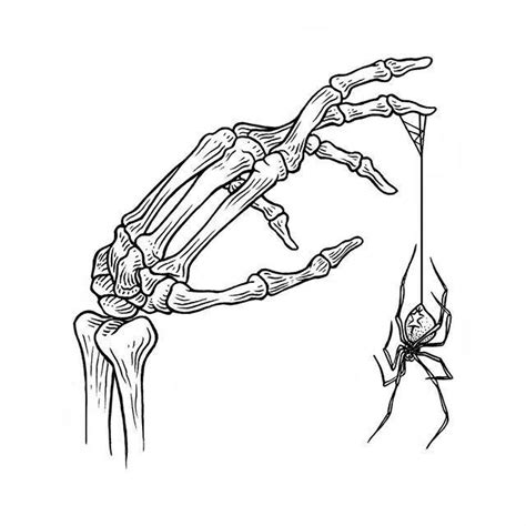 Skeleton sketch | Skeleton drawings, Skeleton hands drawing, Anatomy art