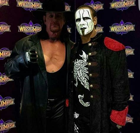 Sting & The Undertaker--my wrestling dream team! And the subject of some of my dreams... | Sting ...