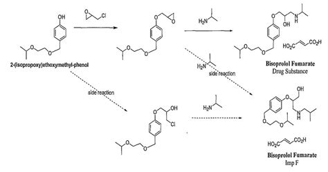 An Overview of Bisoprolol Fumarate: Uses, Mechanism of Action and Side Effects - Qingmu