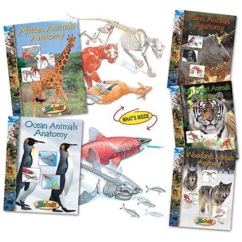 Zoobooks Animal Anatomy Set + a Bonus Book: 9781938811135 - AbeBooks