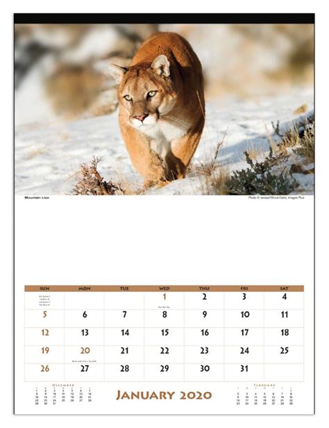 Animal & Wildlife Calendars to promote all the kind of businesses in ...