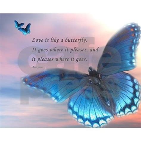 Butterfly Love by Admin_CP7743224 | Butterfly quotes, Picture quotes, Butterfly