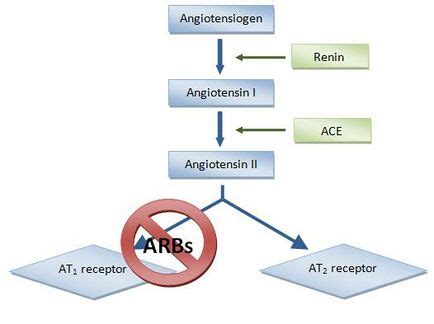 ACE Inhibitors: Congestive Heart Failure - Physiopedia