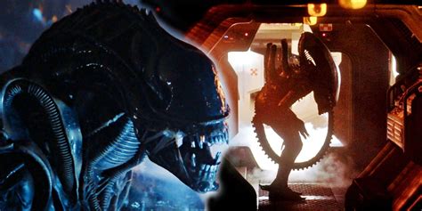 Why Ridley Scott Was Right About The Xenomorph's Absence In Alien