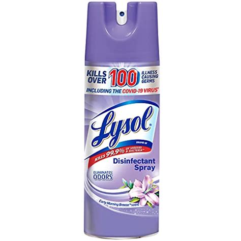 Top 10 Disinfectant Spray For Fabric of 2022 - Best Reviews