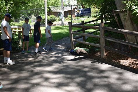 Idaho Falls Zoo - Utah's Adventure Family