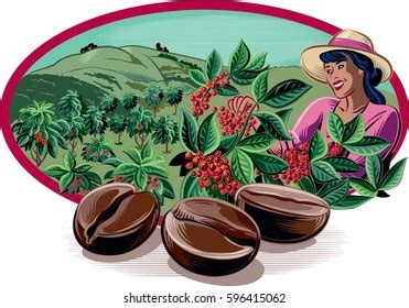 4.203 Oval Coffee Beans Images, Stock Photos, 3D objects, & Vectors | Shutterstock