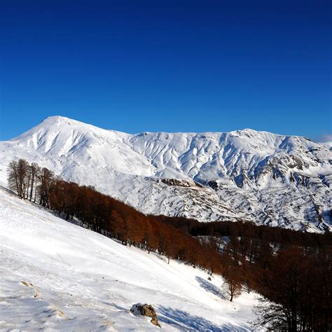 Grammos | Mountains | Nature | Ioannina Prefecture | Regions | WonderGreece.gr