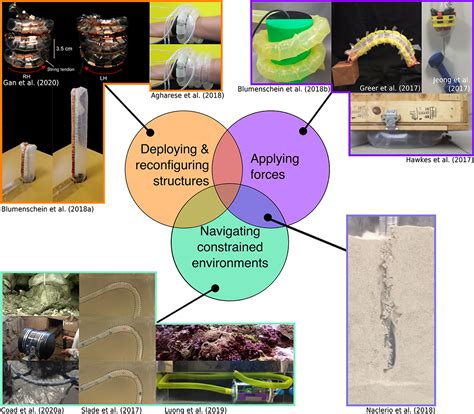 Frontiers | Design, Modeling, Control, and Application of Everting Vine Robots