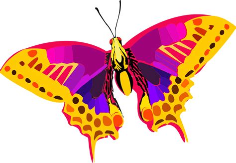 Colorful insect clipart 20 free Cliparts | Download images on Clipground 2024