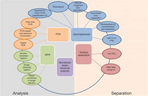 An overview on techniques of analysis and separation of cfDNA. cfDNA ...