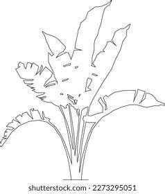 Sketch Vector Illustration Ornamental Plants House Stock Vector (Royalty Free) 2273295051 ...