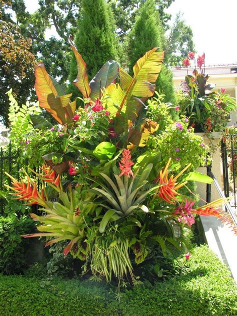 Tropical plants for landscaping yard ideas. Tropical Backyard ...