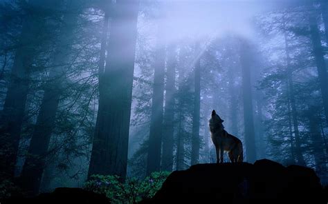 HD wallpaper: howling wolf under moon wallpaper, moonlight, fantasy ...