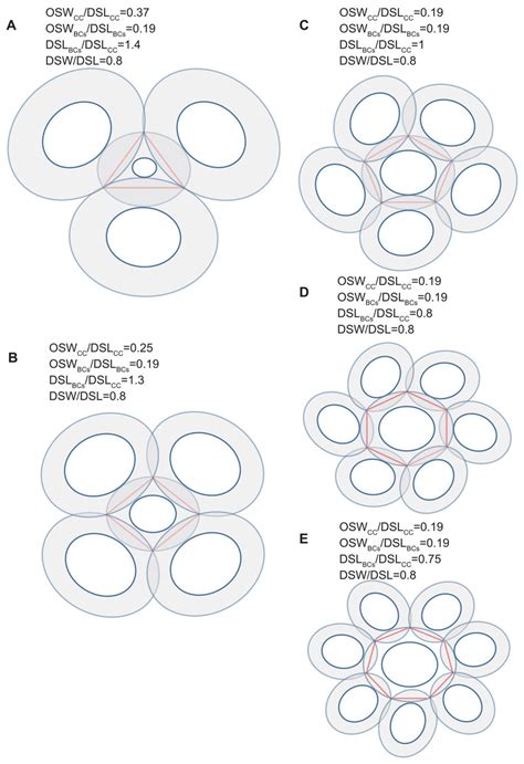 Coccolith arrangement follows Eulerian mathematics in the coccolithophore Emiliania huxleyi [PeerJ]