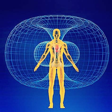 Torus blueprint of existence, every level of existence