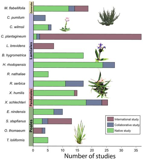 The number of studies published on each resurrection plant species ...