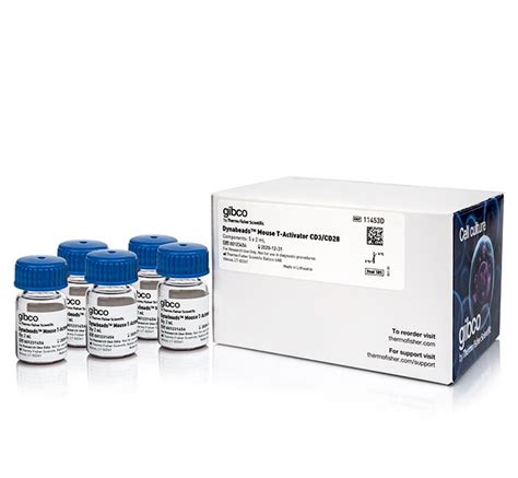 Dynabeads™ Mouse T-Activator CD3/CD28 for T-Cell Expansion and Activation