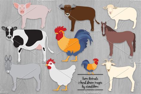 Farm Animal Illustrations | Custom-Designed Illustrations ~ Creative Market