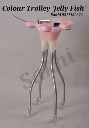 Salon Trolleys - Hair Color Trolley Manufacturer from New Delhi