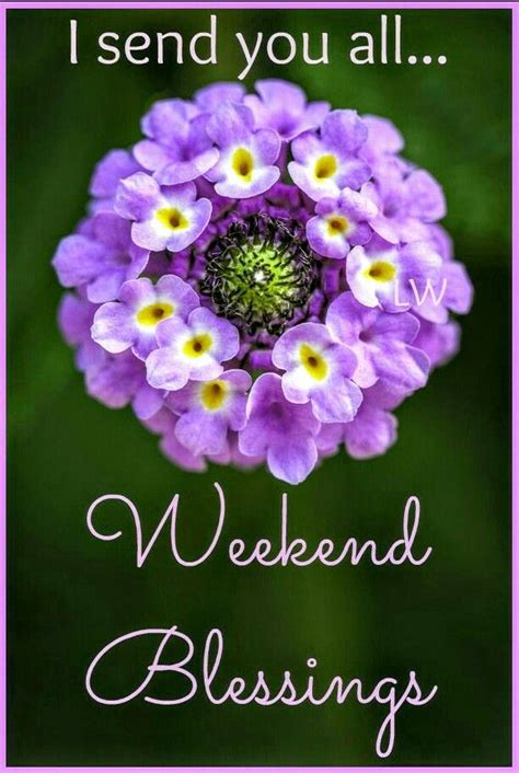 I Send You All Weekend Blessings Pictures, Photos, and Images for Facebook, Tumblr, Pinterest ...