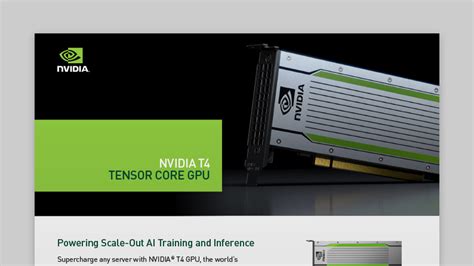 NVIDIA Tesla T4 GPU Computing Processor | lupon.gov.ph