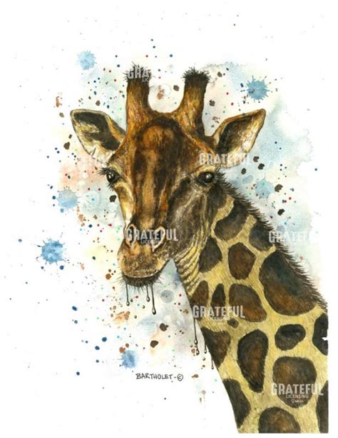 Twiga Giraffe - Grateful Art Licensing