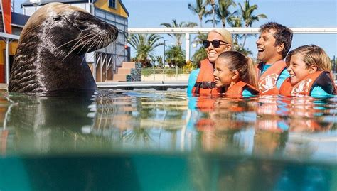 Seaworld Gold Coast - Holiday Destinations Around the World