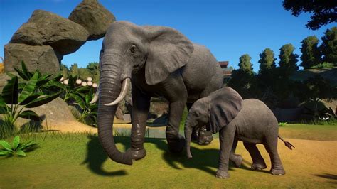 African Elephant Planet Zoo Beta Gameplay Goodwin House - YouTube