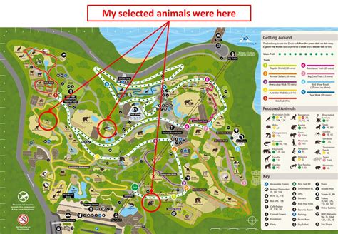 Zoo Map - Kamran Shewaram Knox Year 7 Science Assessment Task 2 ...