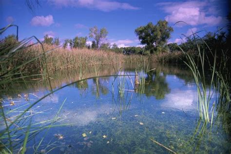 Free picture: swamp, landscape, scenics