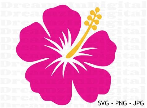Hibiscus Svg, Hibiscus Clipart,tropical Flower SVG, Digital File, Svg ...