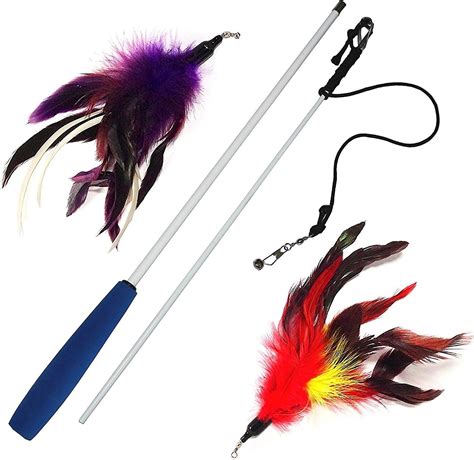 Pet Fit For Life 2 Feather Wand Cat Toy, Red & Purple - Chewy.com