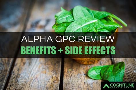 Alpha GPC Review: Benefits, Side Effects & Dosage Guide