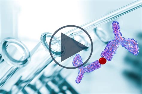 Hybrid LBA-LC/MS assays for protein bioanalysis: a good idea for so many reasons | Bioanalysis Zone