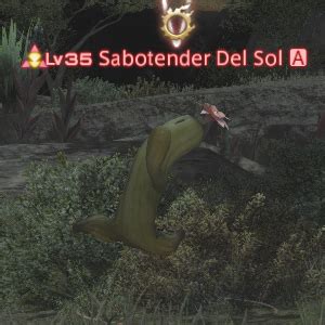Sabotender Del Sol – Gamer Escape