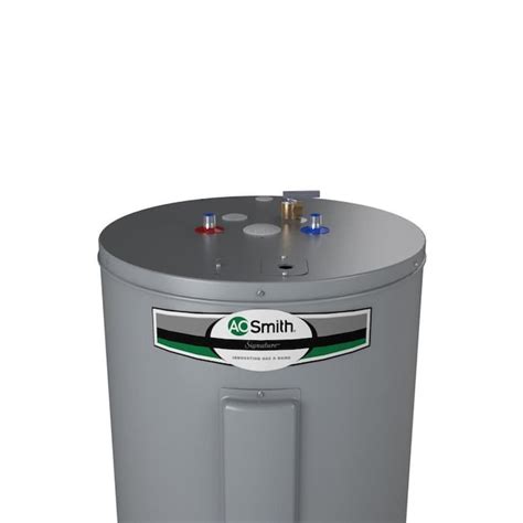 A.O. Smith Signature 50-Gallon Tall 6-year Limited 3800-Watt Double ...