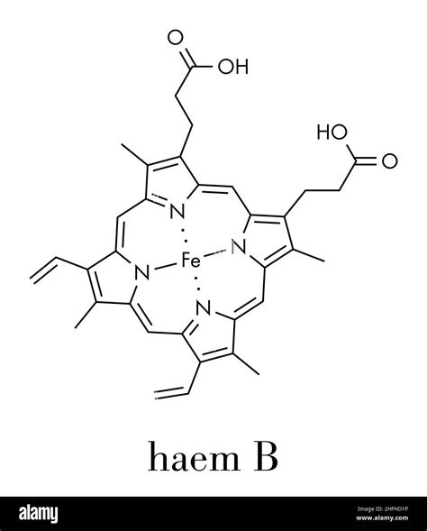 Hemoprotein Stock Vector Images - Alamy