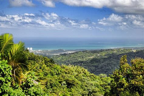 El Yunque | Puerto Rico