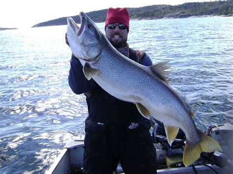 Big Trout Eat Big Bait: Fishing for Trout on Lake Athabasca | OutdoorHub