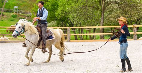 The 10 Best Beginner Horse Riding Lessons Near Me