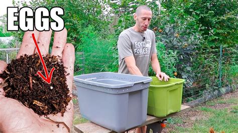 How to Make a Worm Composting Bin, Quick, Simple and Inexpensive Gardening - YouTube