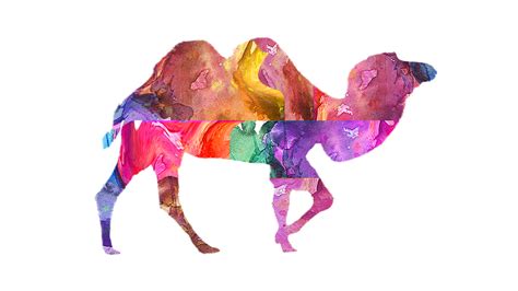 Camel Colorful Painted · Free image on Pixabay